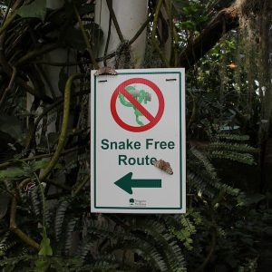 Niagara Butterfly Conservatory snake free route